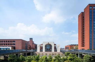 本周日新浪2019国际学校择校巡展等你来