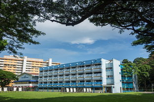 新加坡莎顿国际学院 新加坡大学 大学排名 学费 优势 留学条件 奖学金