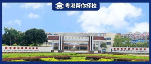 在佛山,有哪些是开设a level课程的国际学校