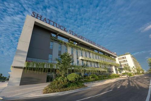 嘉德圣玛丽森林城市国际学校盛大开学啦