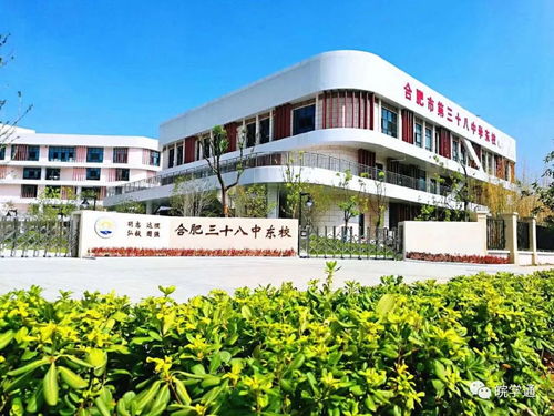名校解读丨合肥三十八中,瑶海区老牌名校