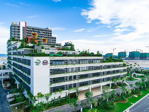嘉德圣玛丽森林城市国际学校盛大开学啦