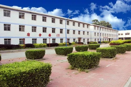 之五 用六年影响一生 为孩子终身发展奠基的河北苍龙国际学校小学部开始招生啦