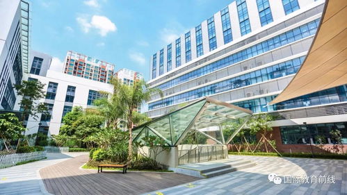 深圳市热门国际学校2021年学费汇总一览表