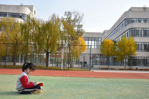 潍坊滨海国际学校举办 校园臻美秋景 摄影 诗文大赛
