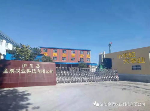 伊川小米 现身第十六届中国国际农产品交易会