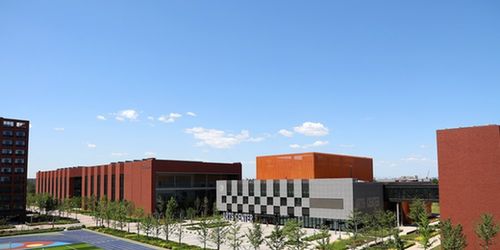 新浪2020国际学校在线咨询会 北京市朝阳区凯文学校