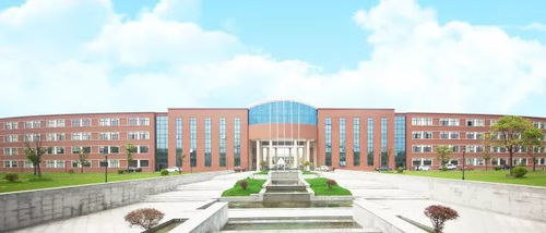 中加枫华国际学校初中部学生会 倡议书