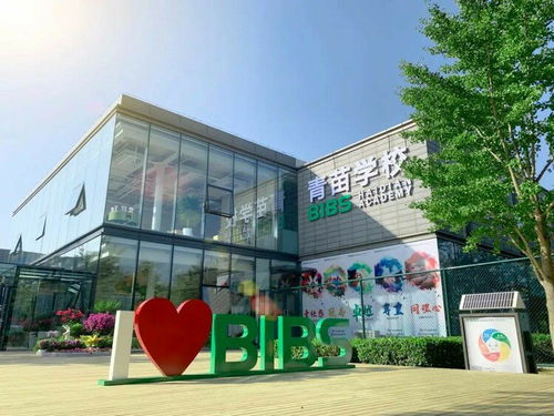第十三届国际名校来了择校展丨青苗学校 青苗幼儿园受邀出席 招生官一对一现场指导