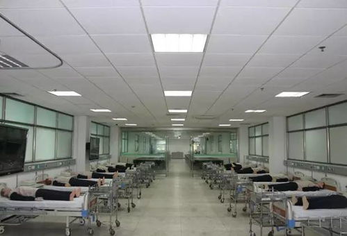 学院巡礼 护理学院 商学院 旅游烹饪学院 食品科学与工程学院 医食商的 三味