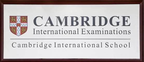 国际学校选择恐惧症?来!这里有药方