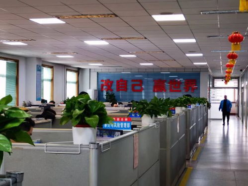 南阳中光厂学校正式纳入南阳市第十七小学教育集团，迈向国际化教育新篇章