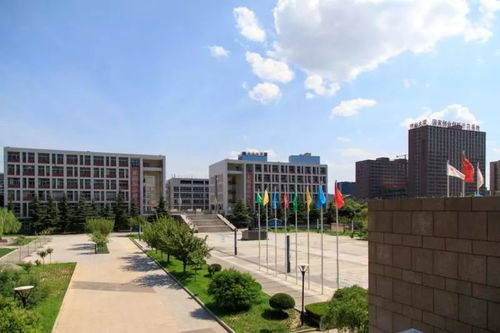 陕西国际商贸学院董事长赵超及师生代表参与省十六运火炬传递，彰显国际学校风采