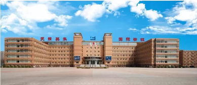 秋展时讯抢先看 天津国际学校择校展参展方亮点系列二——国际学校篇