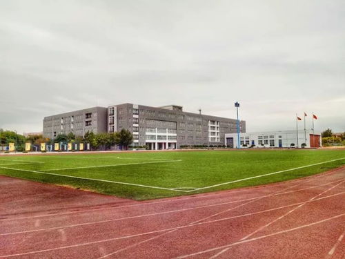 河北苍龙国际学校精选 寒假春节季是家庭教育好时机，这6大关键你知道吗？